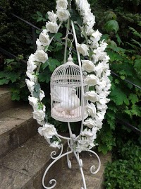 White Dove Release Weddings and Funerals Yorkshire 1089094 Image 1